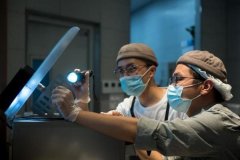 再创行业记载 喜茶持续四年获中国食物健康七星